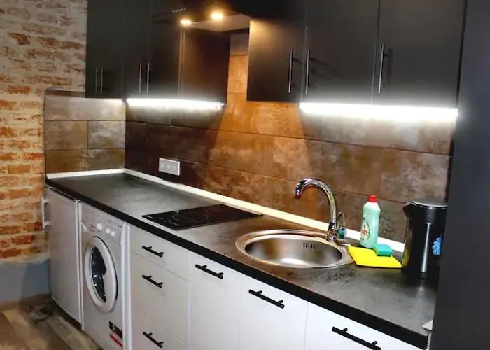 Dorosh-home квартира-студія в центрі львова Apartman